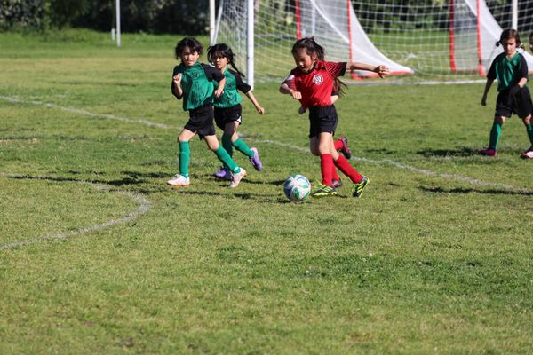 AYSO Region 13 — Grad Series