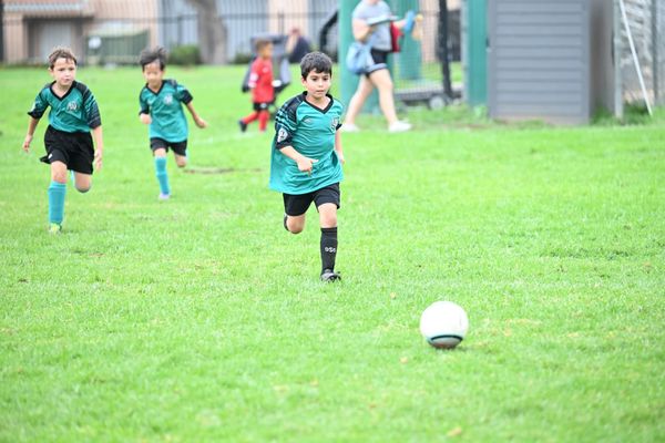 AYSO Region 13 — Fall Game